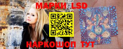 стафф Бердск