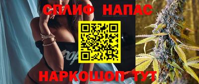 стафф Бердск
