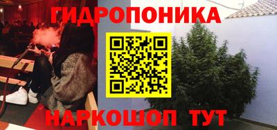 стафф Бердск