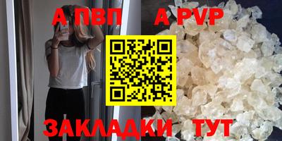 стафф Бердск